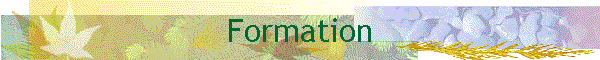 Formation