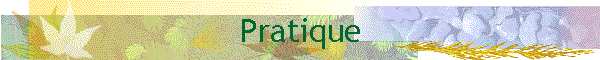 Pratique